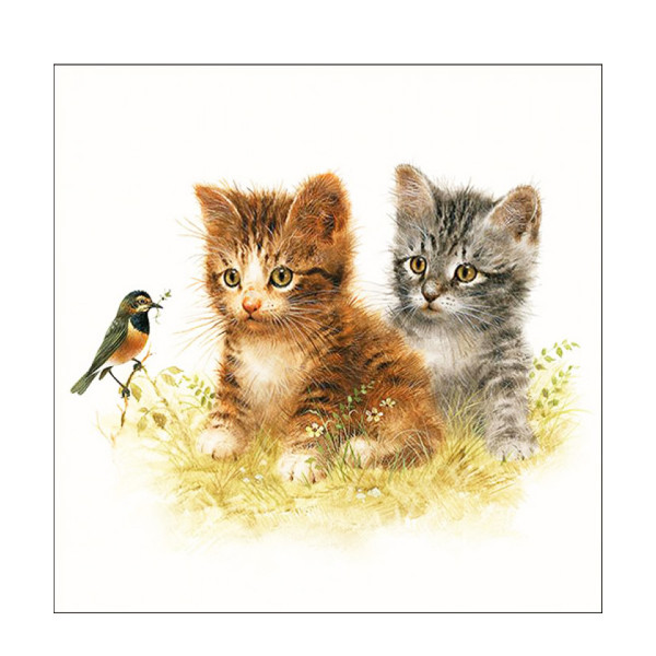 Ambiente Papierservietten Katzenfreunde, Kitten Friend, Lunch 33x33cm